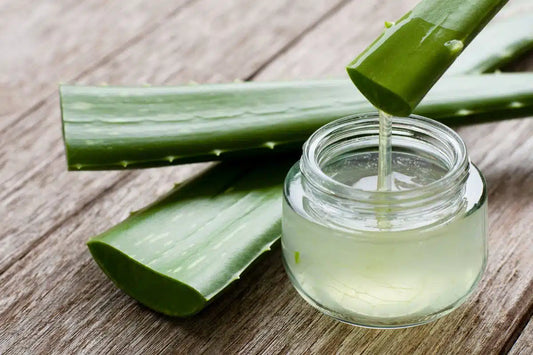 How Aloe Vera Can Enhance Your Immune System