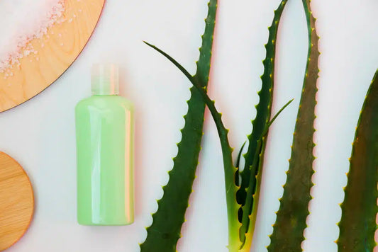 Hydration Hero: Aloe Vera for Healthy Hair