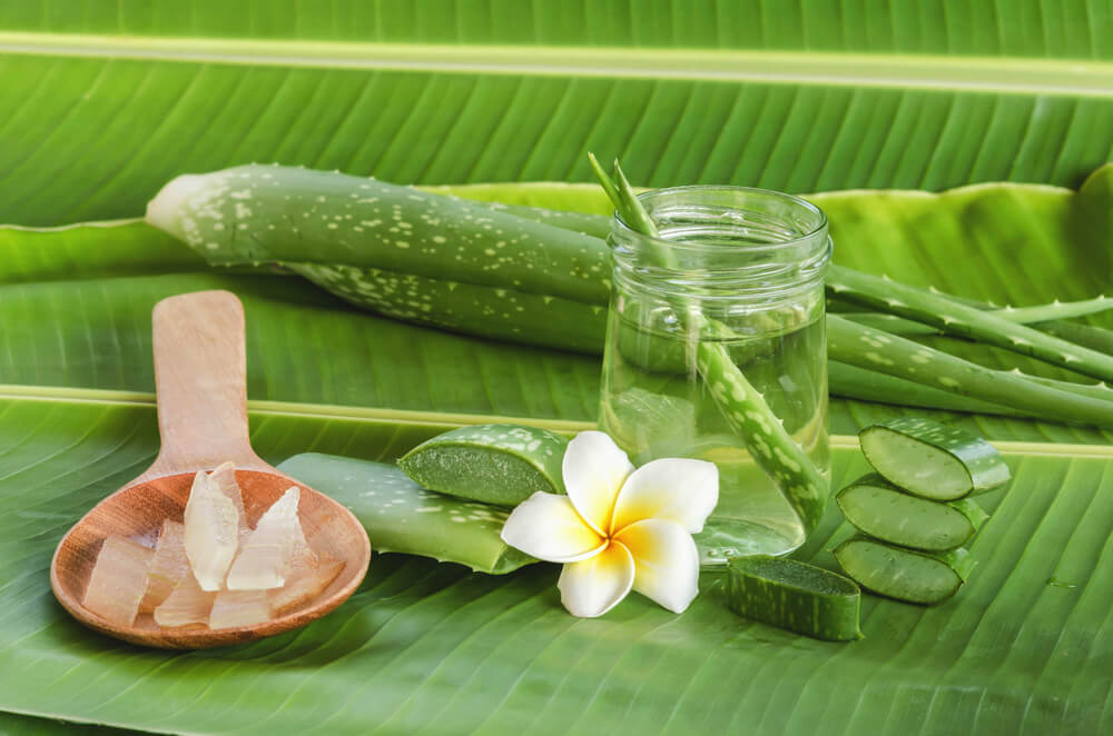 8 Aloe Vera Uses You Might Not Even Be Aware Of