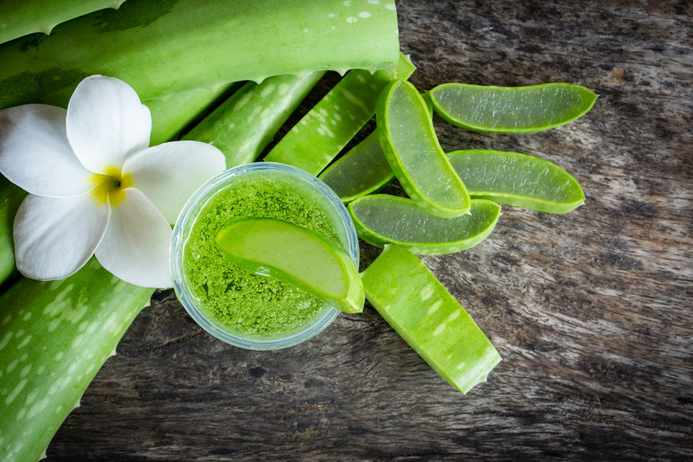 19 Incredible Aloe vera Benefits for Hair, Skin, Body, and Weight Loss