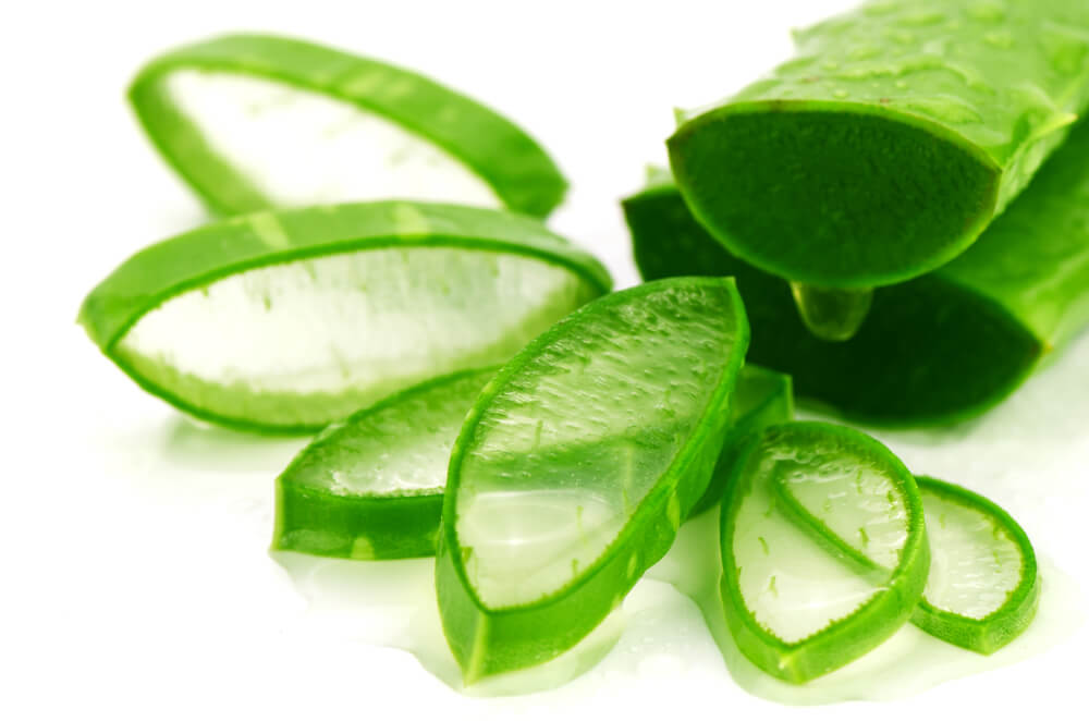 The History of Aloe Vera in Traditional Medicine