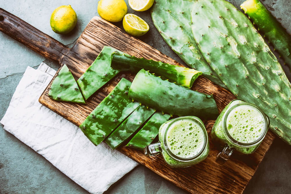 Benefits and Dangers of Eating Aloe: Can You Eat Aloe Vera