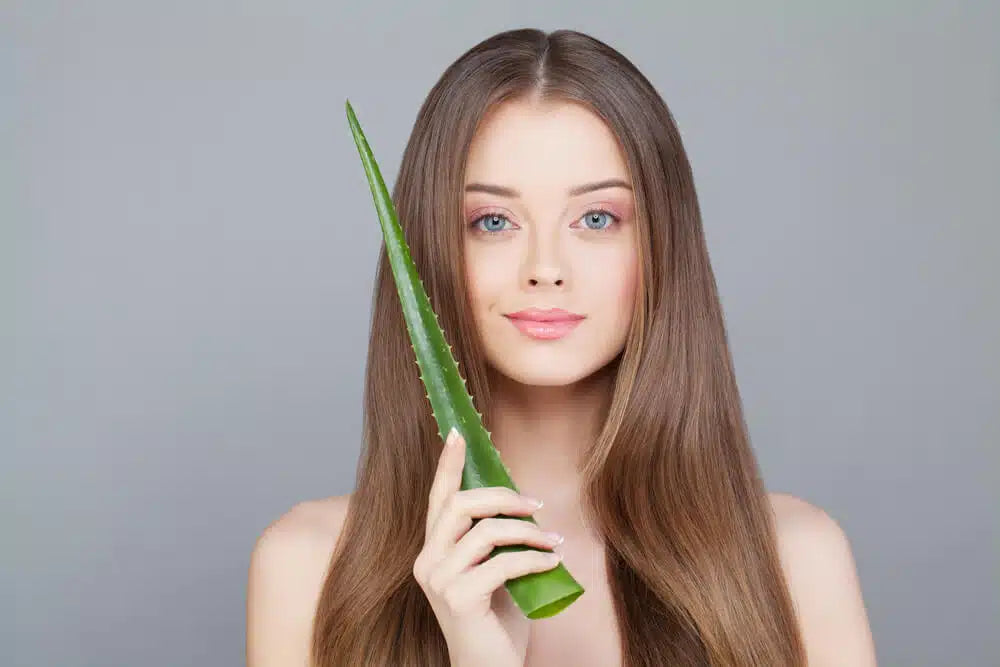 Discover the Benefits of Aloe Vera Gel for Hair and Learn DIY Recipes for Hair Masks