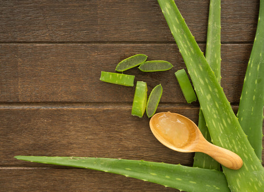 How Your Body Benefits From Aloe Vera Supplements