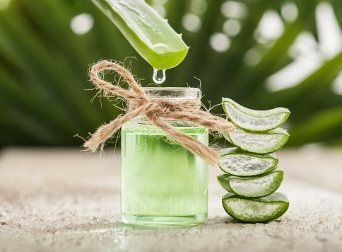 3 Things You Didn’t Know About Aloe Vera