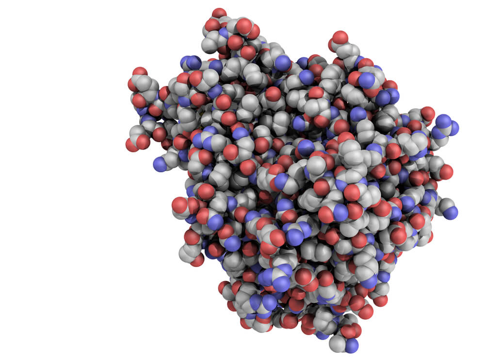 How Tumor Necrosis Factor Helps in Healing an Inflammation?