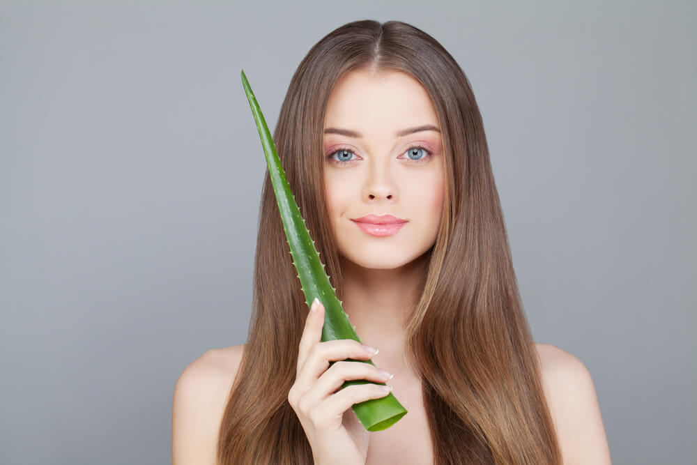 Benefits of Aloe Vera Powder for Hair Growth – Are There Any?