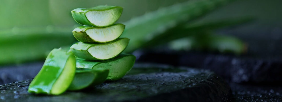 Choosing Wisely: Top Tips for Selecting the Best Aloe Vera Supplements