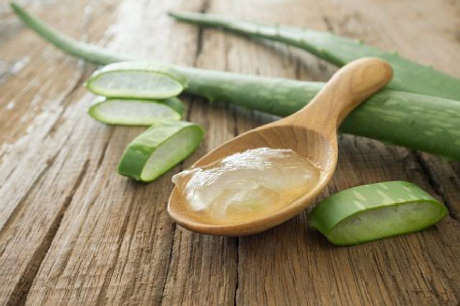 Digestion Health Benefits of Aloe Vera