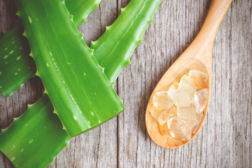 Top 5 Benefits of Aloe Vera