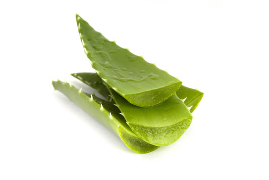 What Does Aloe Vera Taste Like? How to Make It Taste Better?