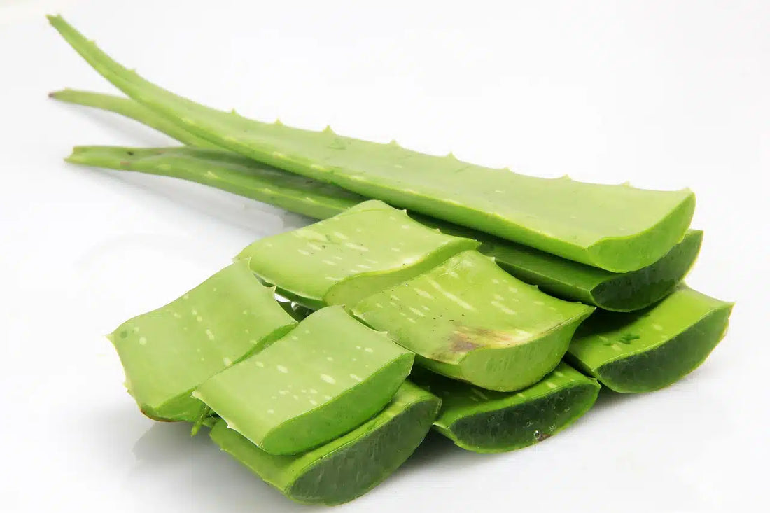 Truth or Hype? Debunking Myths About Aloe Vera